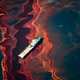 Illustration for article titled Strikingly beautiful pictures show the horrors of the BP oil spill